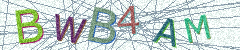 IMAGE_CAPTCHA_ALT
